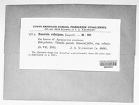 Image Associated With the Occurence